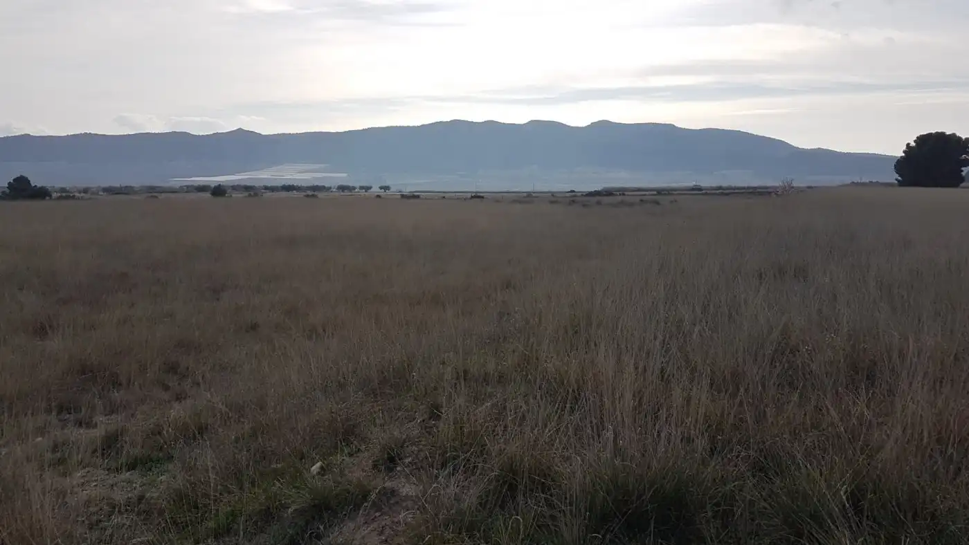 Finca rústica en venda en Salinas