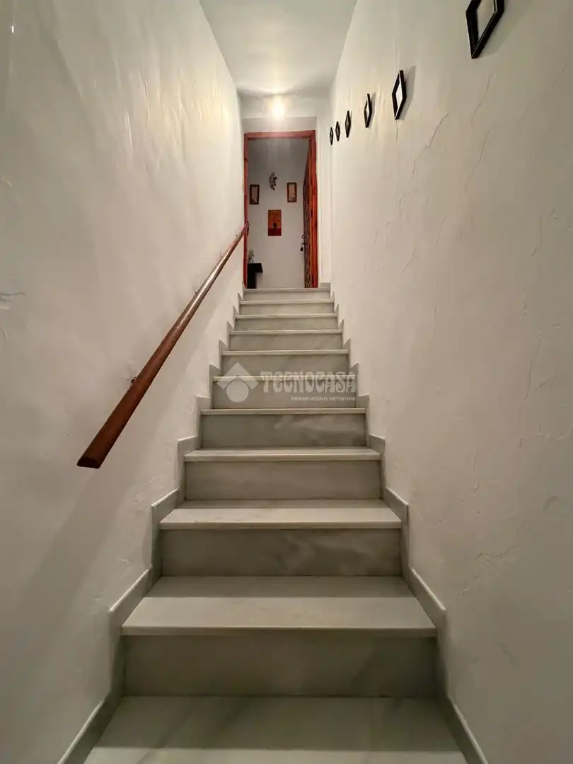 Detached homes for sale in Centro