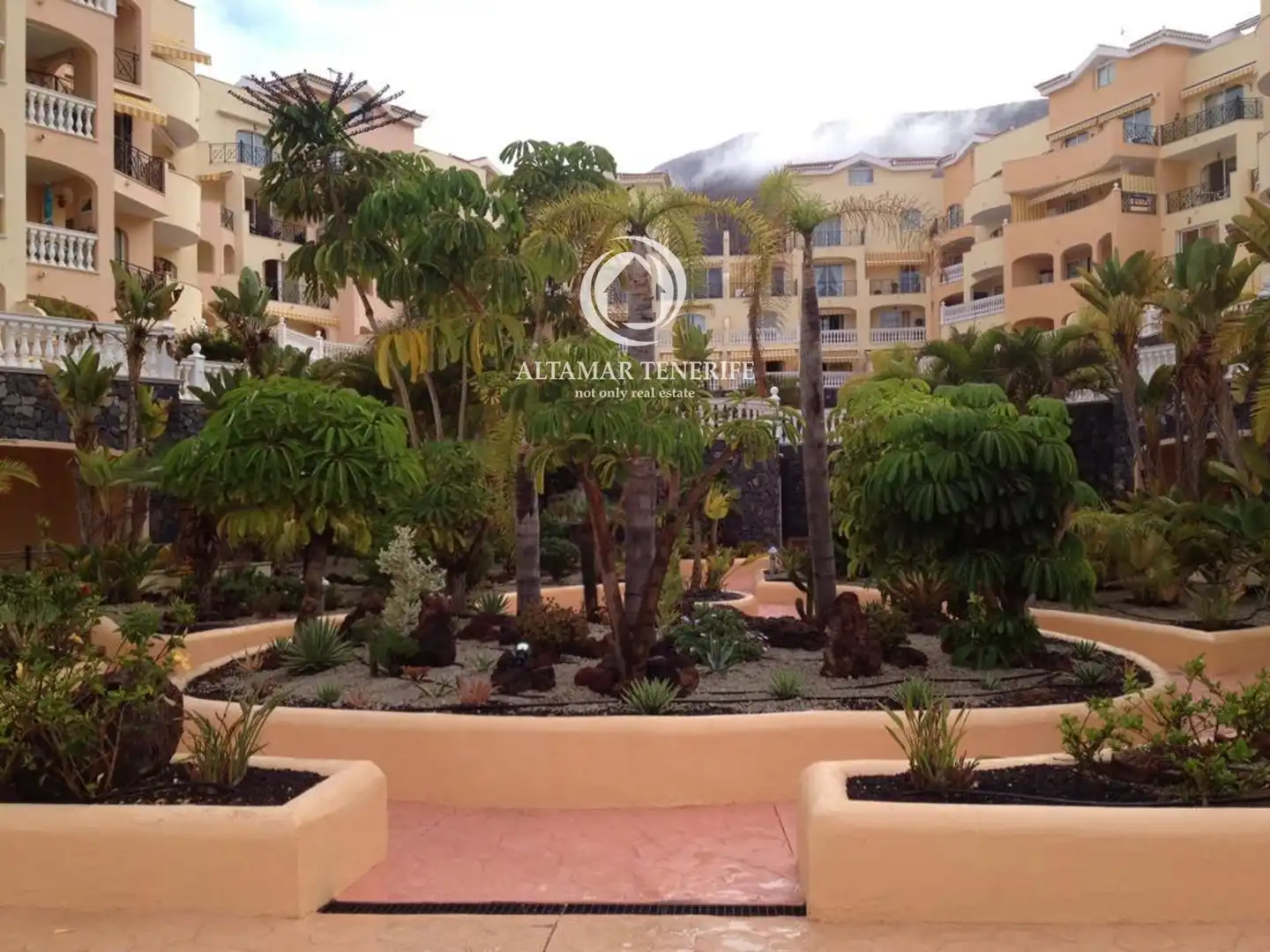 Vista exterior de Apartamento de alquiler en Arona con Terraza, Piscina y Amueblado