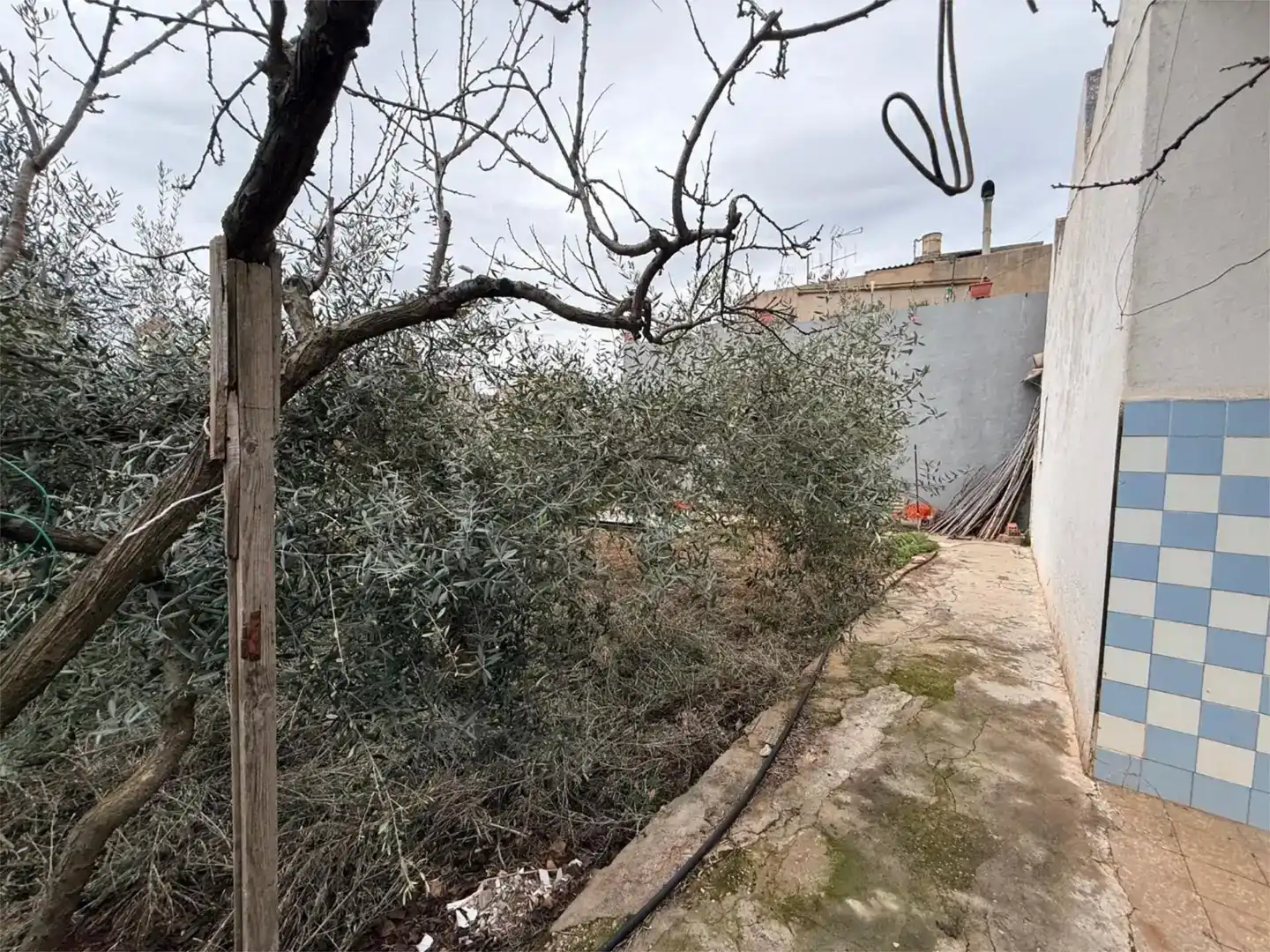 Finca rústica en venta en Norte