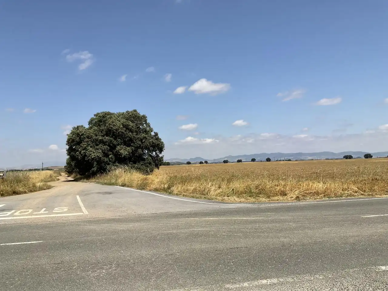 Land for sale in Bañares