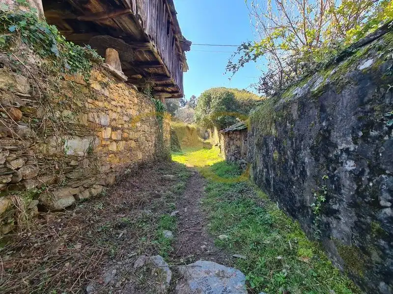 Casa o xalet en venda en Villayón amb Jardí privat