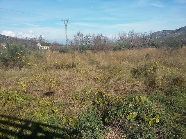 Terreno en Venta en Pozo De Gabriel, 20 en Santa Magdalena de Pulpis