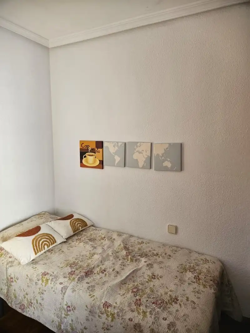 Flat with garden to rent in Casco Antiguo, imagen 18