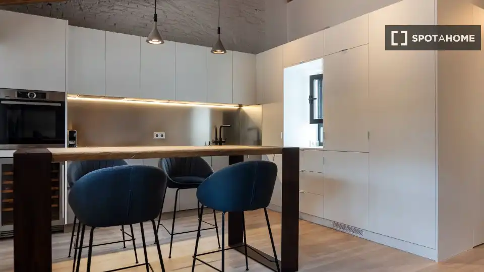 Appartamento con terrazza in affitto a L'Eixample, imagen 15