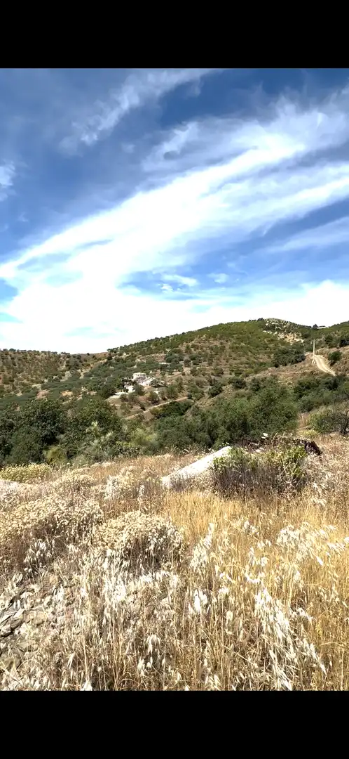 Land for sale in Sedella