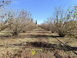 Finca rústica en venta en El Milà
