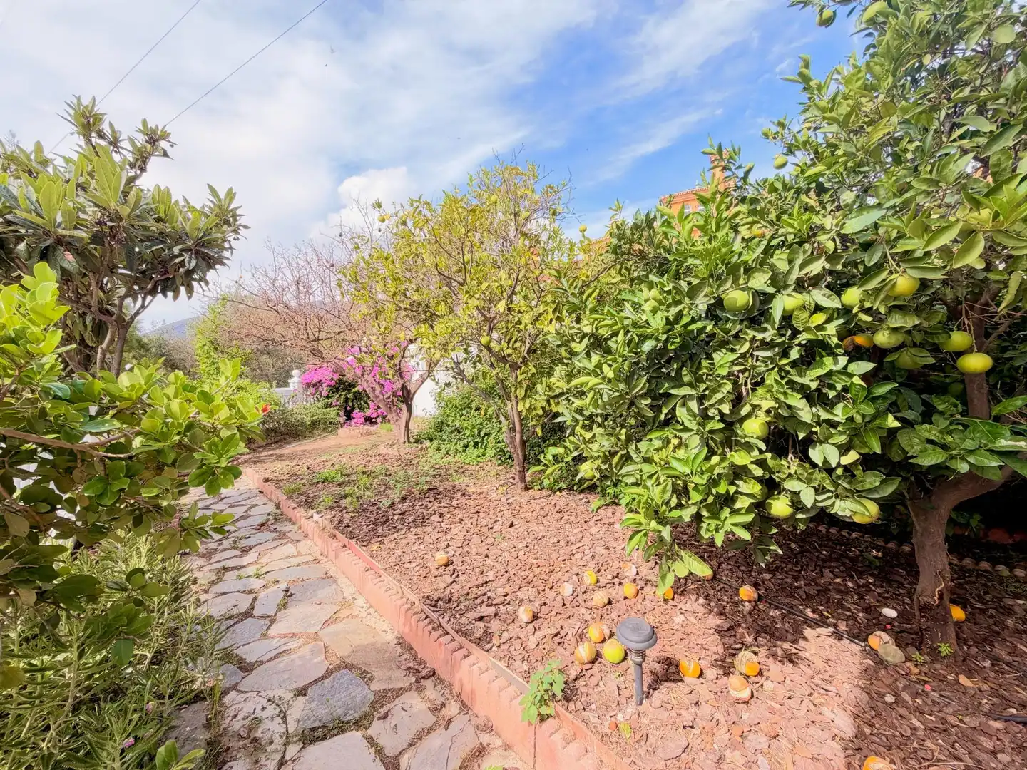 Garden of Detached homes for rent in Montealto - Monterrey