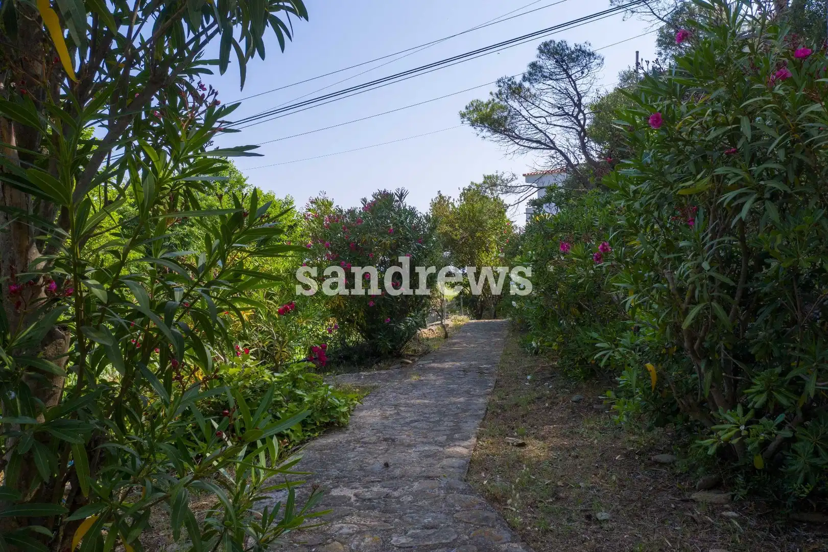 Jardí de Casa o xalet en venda en El Port de la Selva amb Aire condicionat, Calefacció i Jardí privat