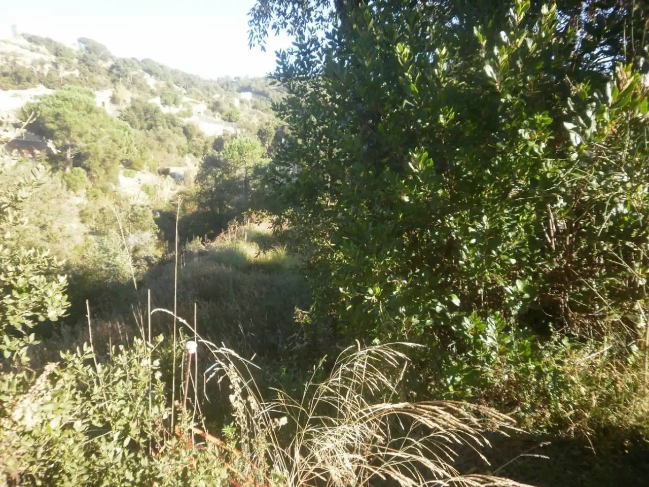 Wohnbaugrundstück zum Verkauf in Lloret Residencial - Montlloret, imagen 5
