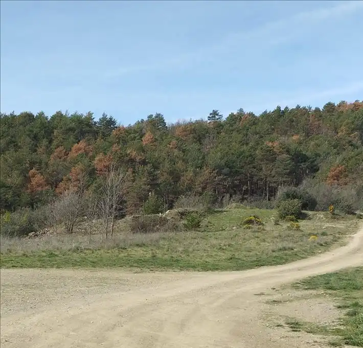 Wohnbaugrundstück zum Verkauf in UNIC-ARAVELL, imagen 11