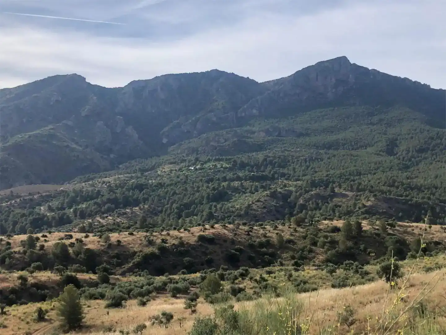 Piso en venta en Ardales
