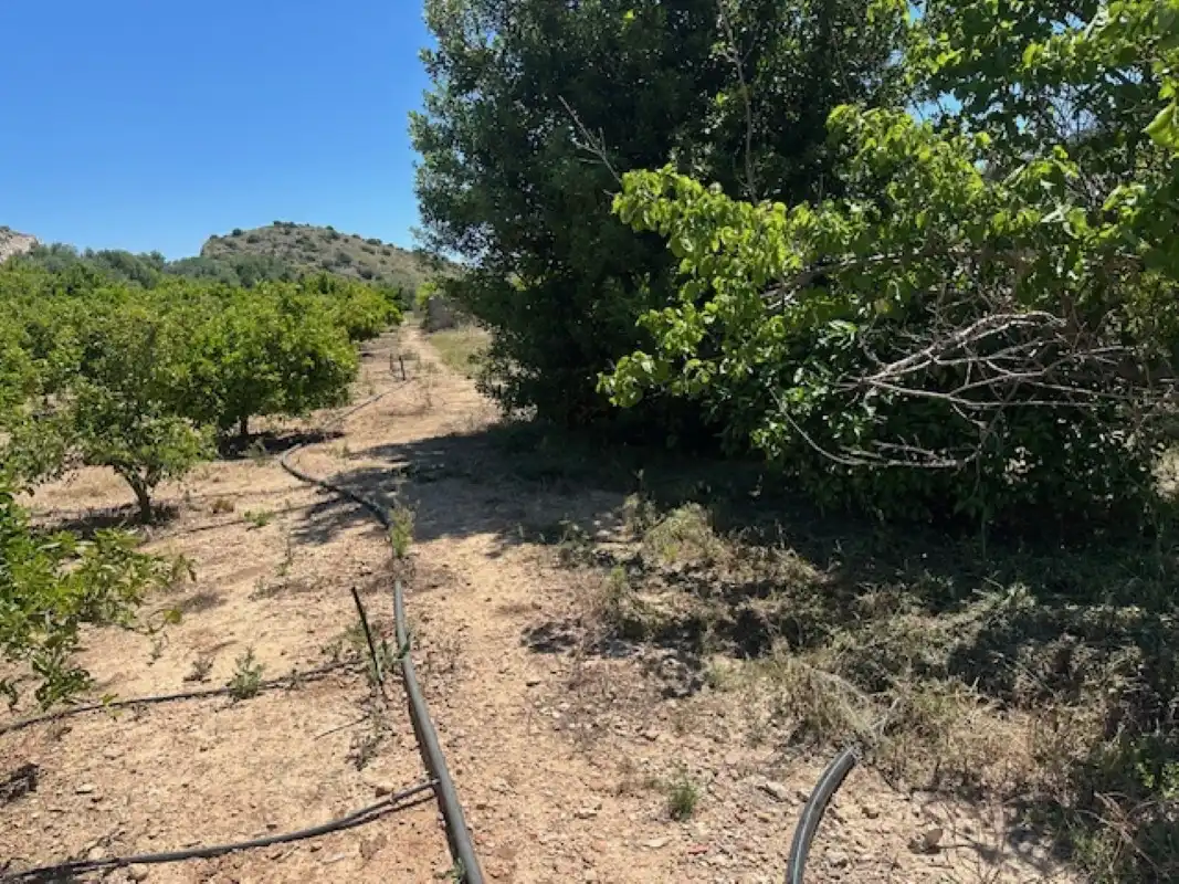 Terreno en venta en La Font d'en Carròs