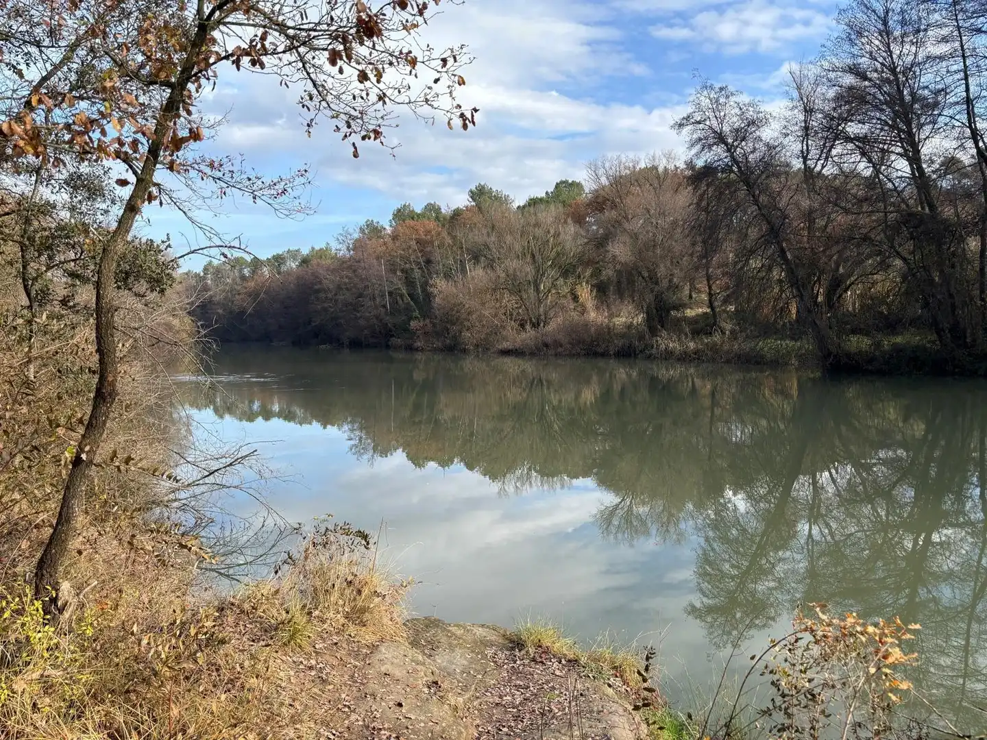 Buildings for sale in Balsareny