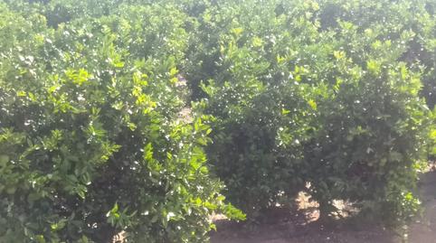 Photo 5 of Country house for sale in Urbanitzación Les Mallaes, Pedralba, Valencia