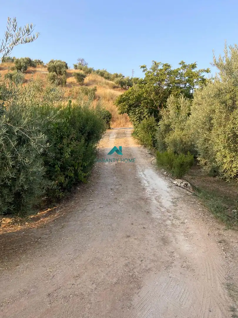 Casa o xalet en venda en Alcaudete amb Jardí privat, Traster i Piscina