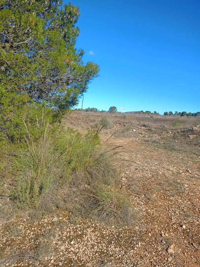 Grundstücke zum Verkauf in Lorca