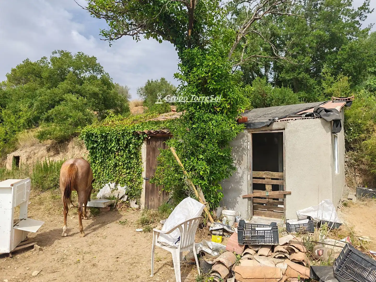 Villa in vendita a Freixa, imagen 57