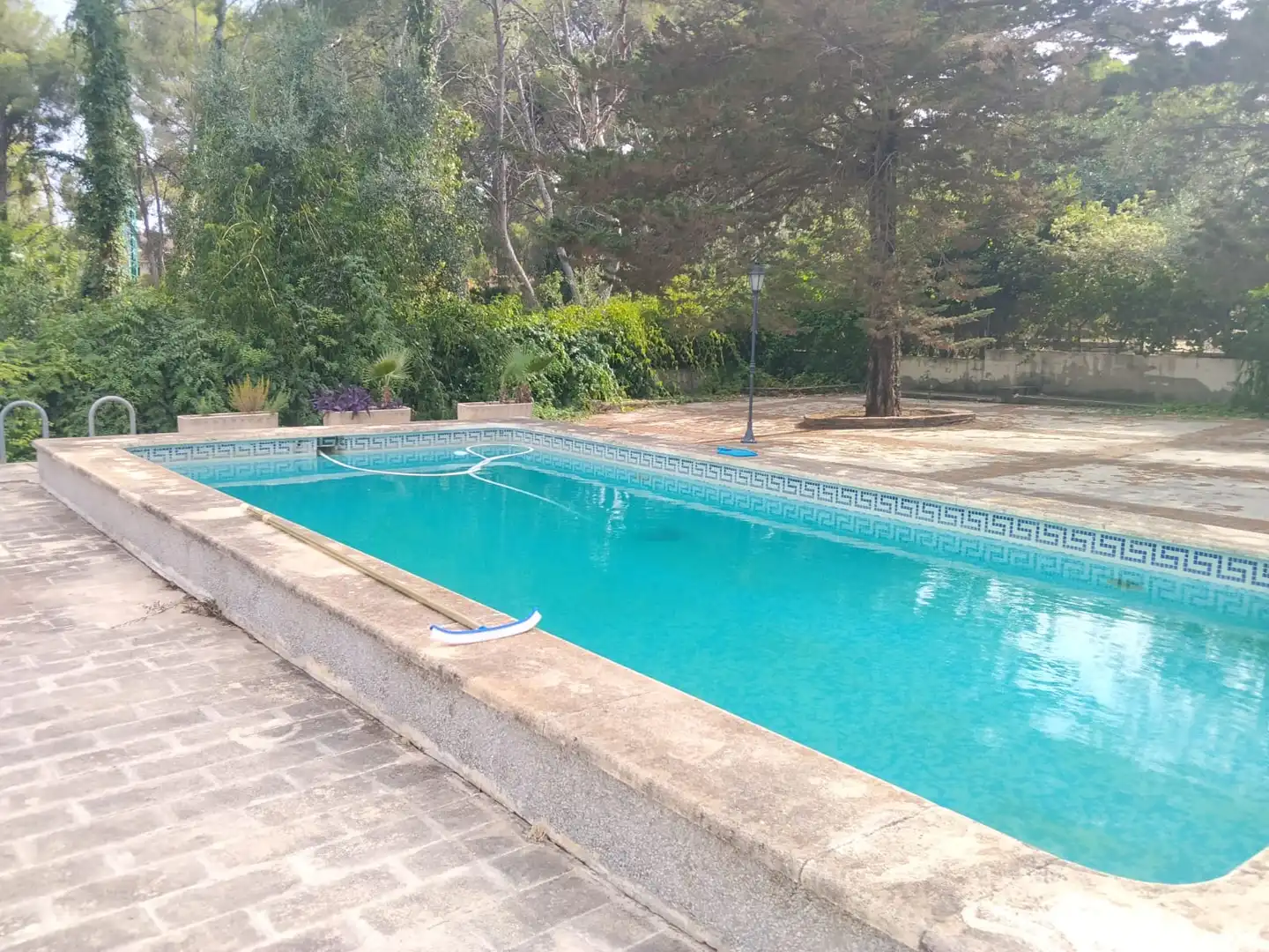 Villa con piscina in vendita a El Bosque, imagen 10