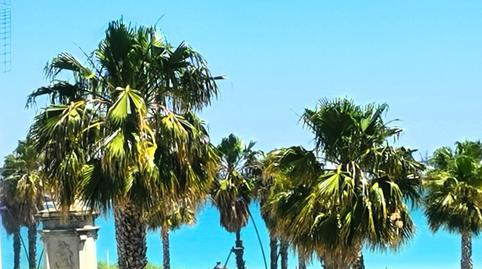 Foto 3 de Apartamento en venta en Centro - La Costilla, Cádiz