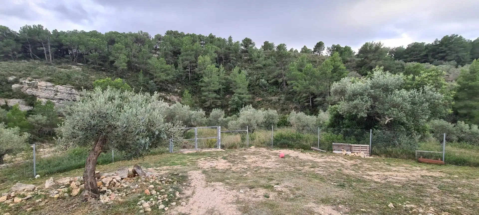 Landhaus mit Garten zum Verkauf in El Perelló, imagen 54
