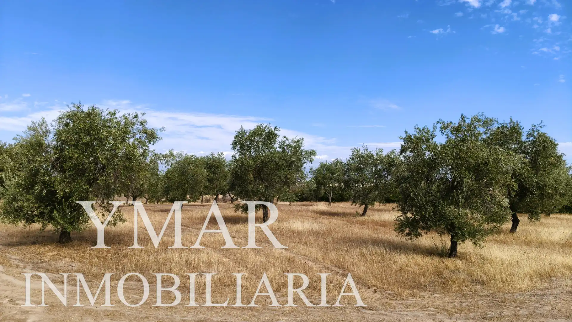 Rural land for sale in Santo Domingo-Caudilla, imagen 8