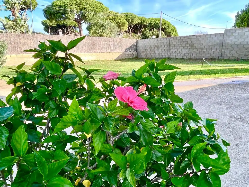 Casa o xalet en venda a Las Lagunas - Campano