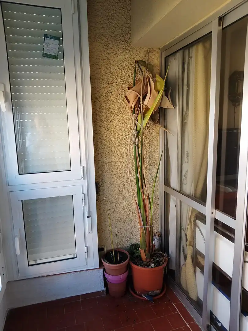 Apartment with terrace for sale in Puerto Deportivo, imagen 5