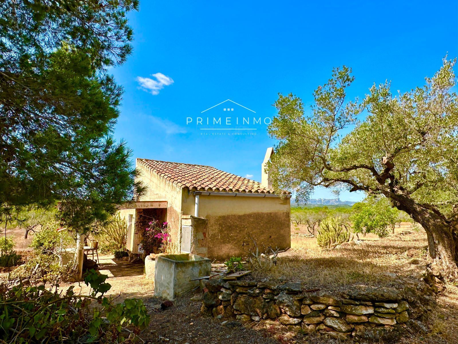 Finca rústica en venta