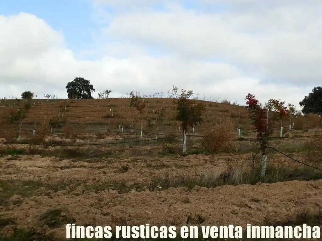 Terreni e lotti in vendita a Torrijos, imagen 11