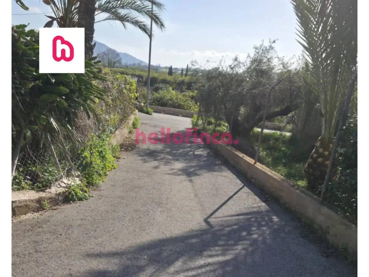 Finca rústica en venda en Orihuela amb Aire condicionat, Calefacció i Jardí privat