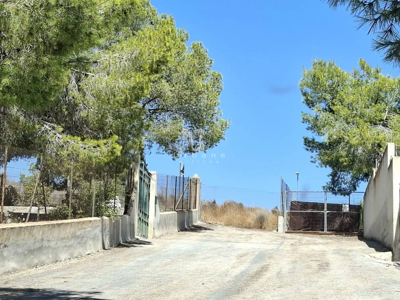 Terreny rústic en venda a Camino Montecantalar, imagen 4
