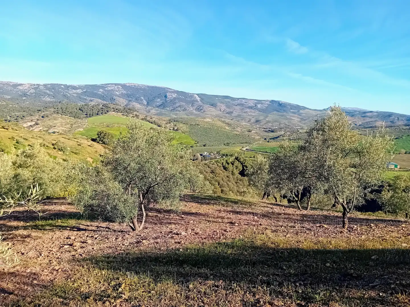 Terreno rústico en venta en Yunquera
