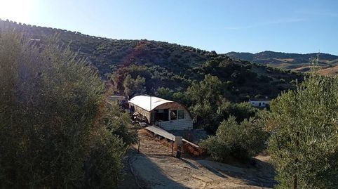 Finca Rúst. en venta en Olvera.