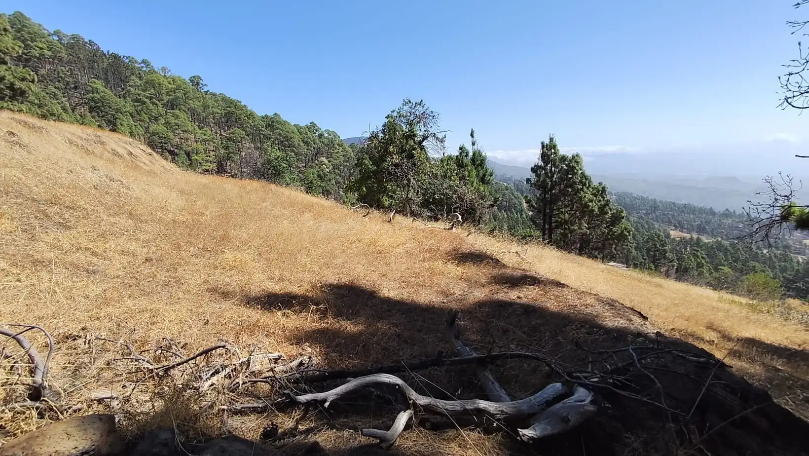 Rural land for sale in Machado - Las Barreras, imagen 2