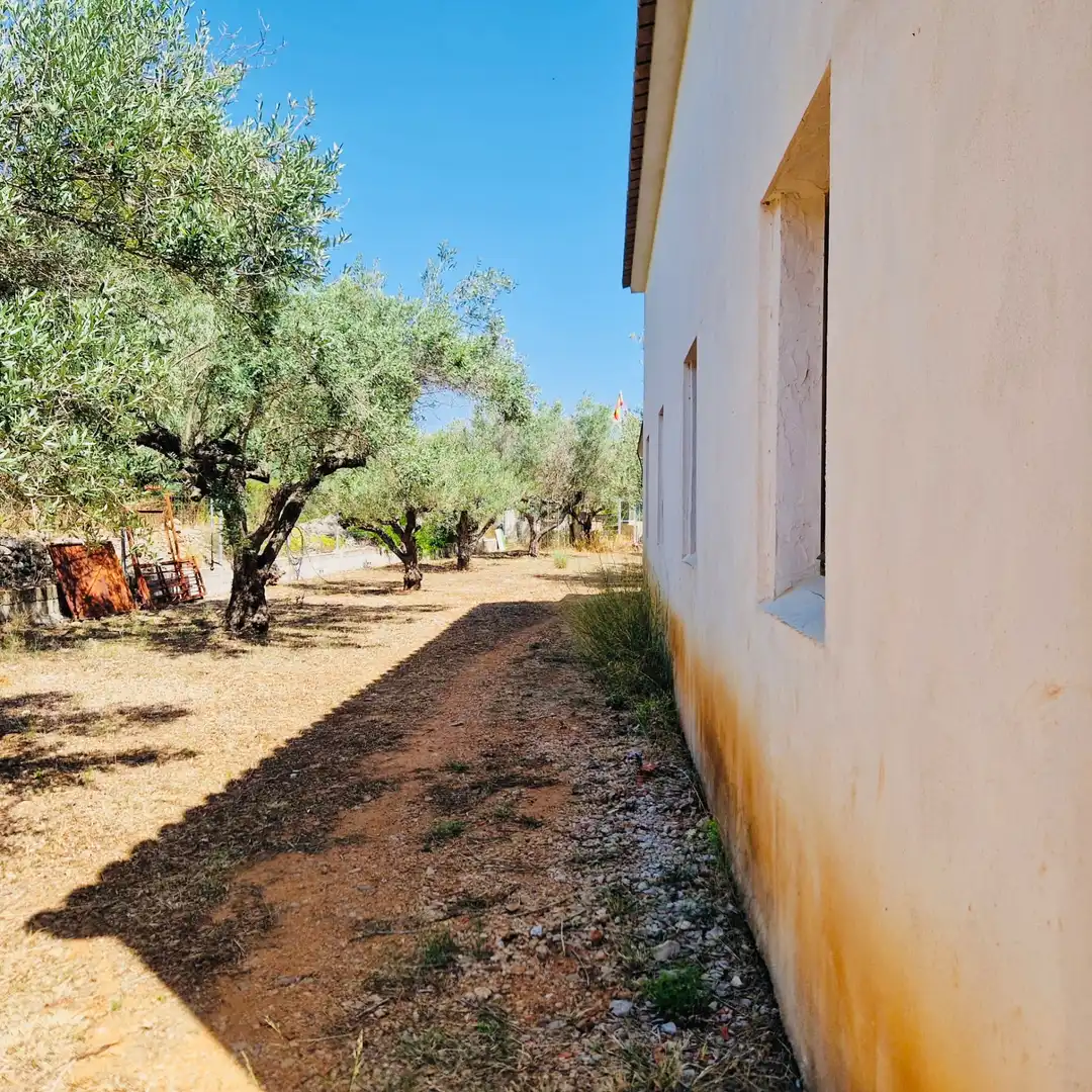 Villa avec jardin à vendre à Parcent, imagen 4