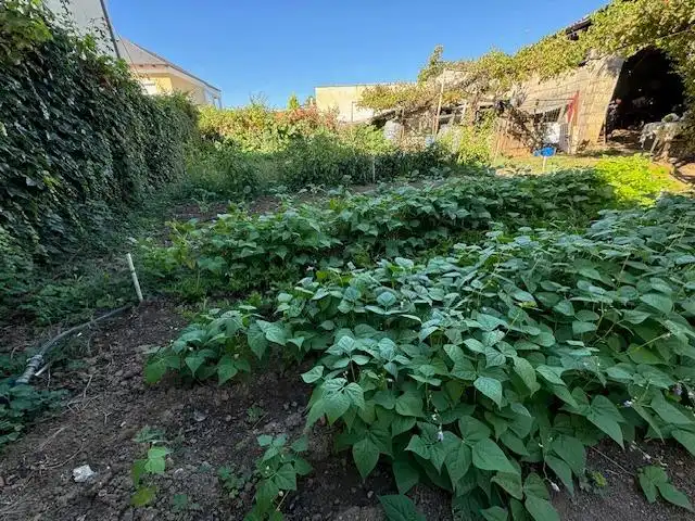 Casa o chalet en venta en Sancedo con Calefacción, Jardín privado y Terraza