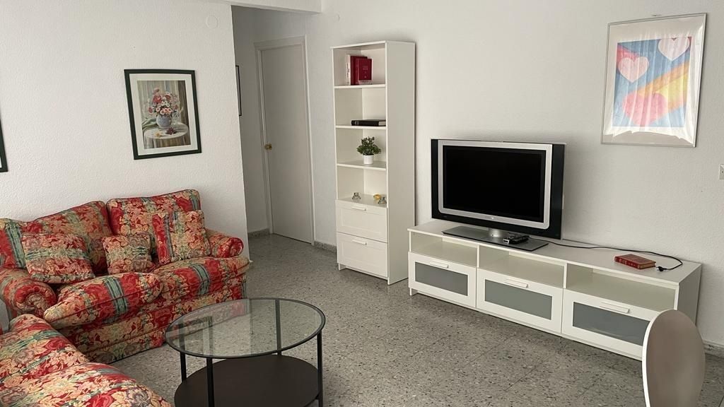 Living room of Flat to rent in Málaga Capital  with Terrace