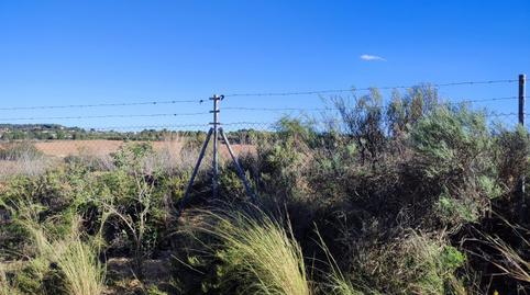Foto 5 von Grundstücke zur Miete in N/a, Los Felipes - Corral de Carmelo, Chiva