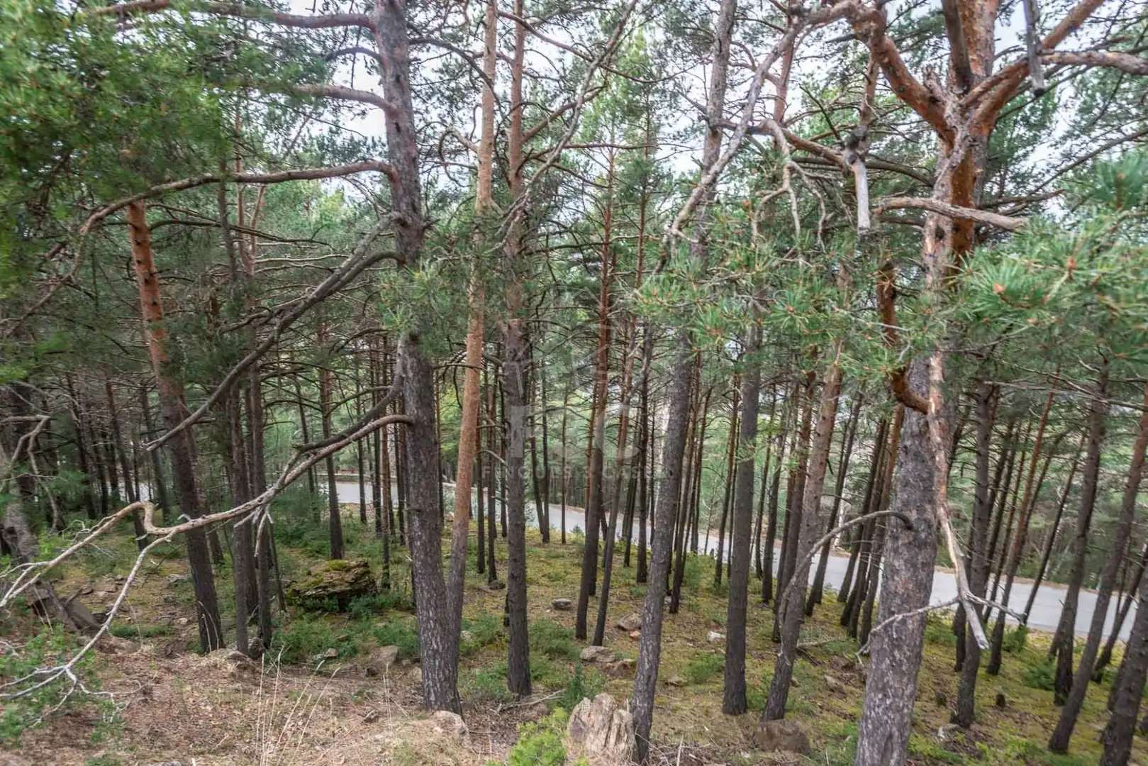 Terreno en venta en Aubinyà - Juberri