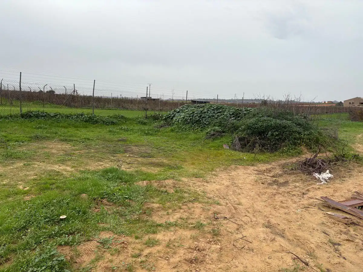 Terrenys i solars en venda a Bollullos Par del Condado, imagen 6