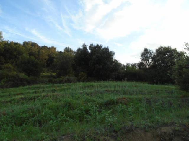 Terreno en Venta en LLEVANT en Nord-Oest - Can Noguera