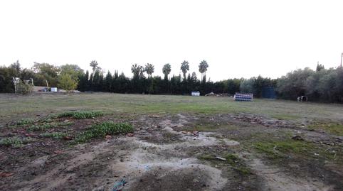 Photo 3 of Residential for sale in Marchena, Carmona, Sevilla