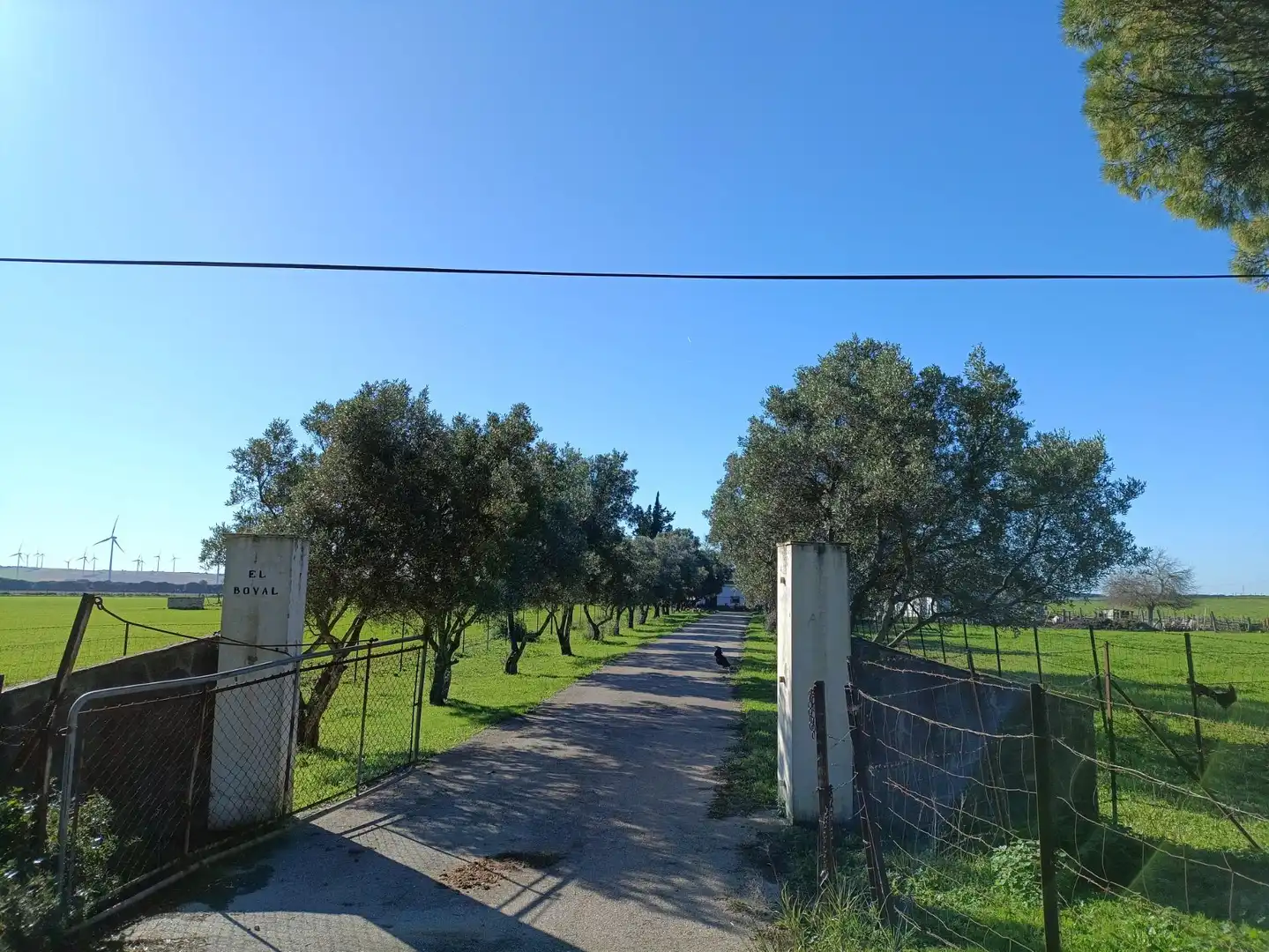 Casa rústica en venda a Villanueva Golf, imagen 30