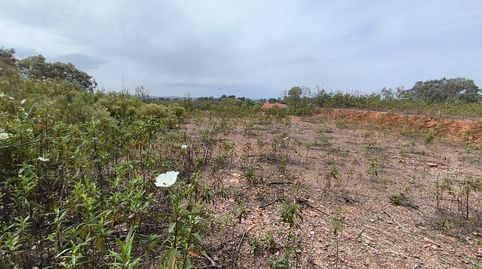 Foto 3 de Residencial en venta en Los Lagos, Guillena