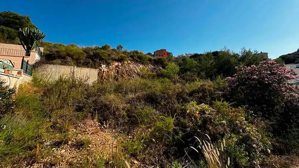 Terreno residencial en venta en El Pinar, imagen 2