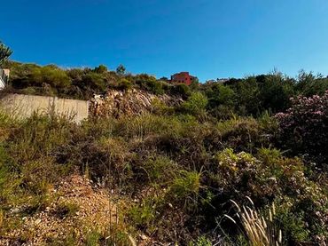 Terreno residencial en venta en El Pinar