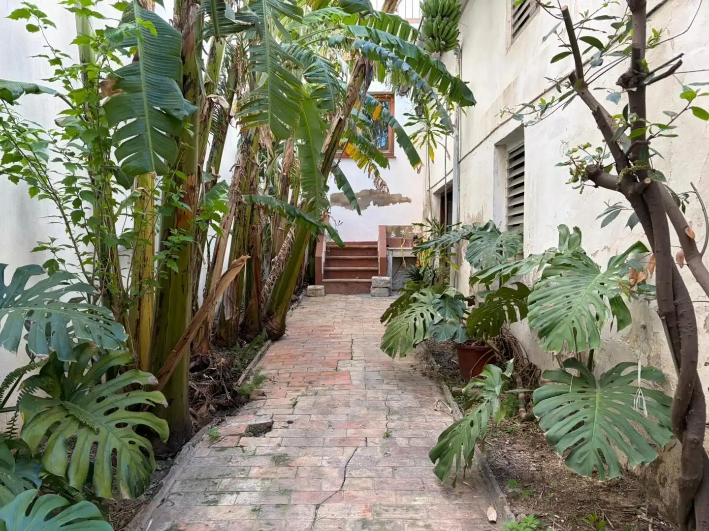 Casa con terraza en venta en Oliva pueblo, imagen 16