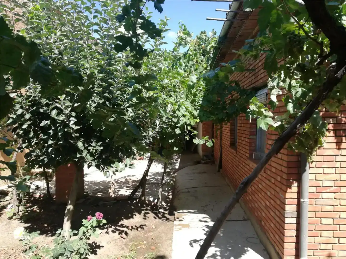Jardí de Finca rústica en venda en Vega de Infanzones amb Jardí privat i Traster