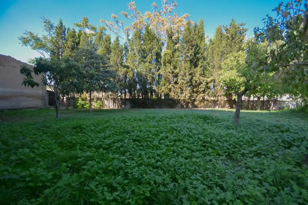 Terrenos y solares en venta en Calle CANALEJAS